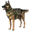 K9 equipment/Service dog equipment